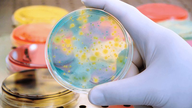 生物制品价格差异背后的秘密