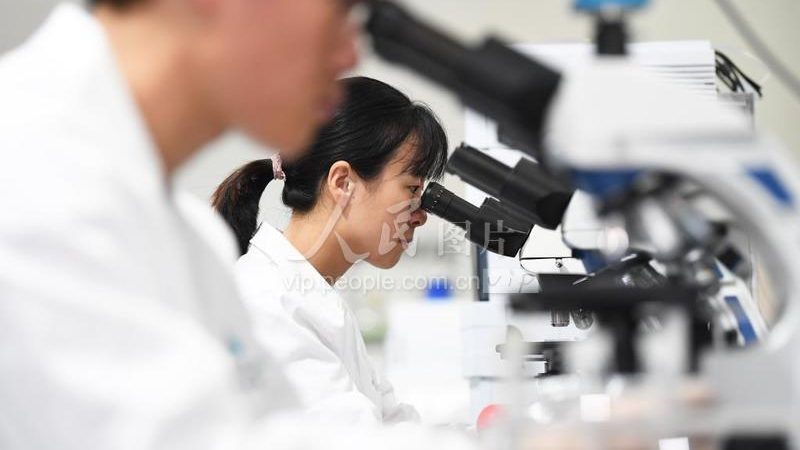 实验器材批发供应商排名的误区：为什么你搜到的榜单可能不靠谱