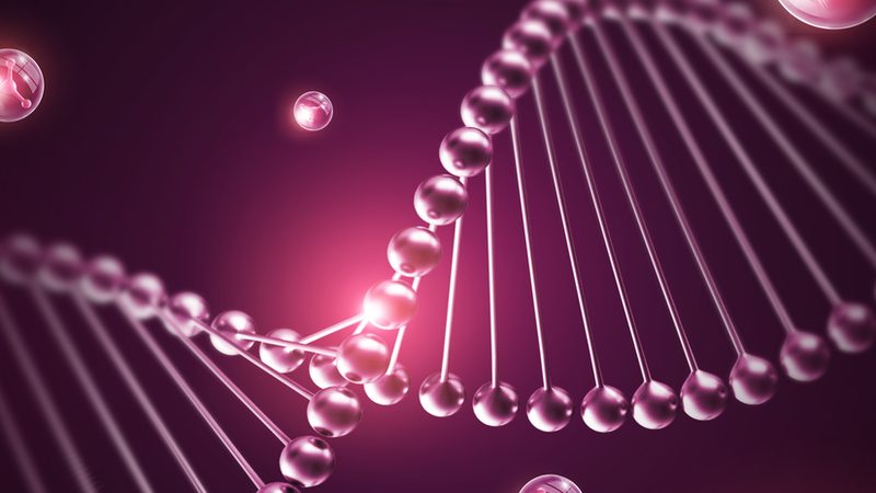 荧光标记引物：合成参数解析与优化**