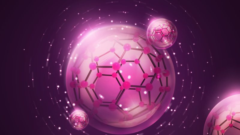 细胞培养实验方案：构建高效科研的基石**