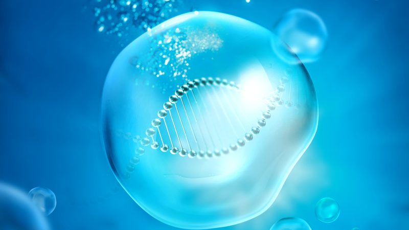 生物科技企业的生产资质主要包括以下几个方面：