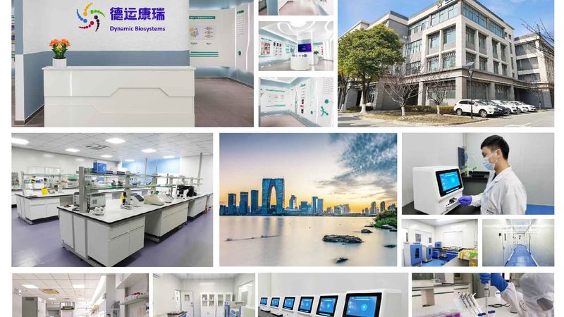 细胞培养：常见问题及高效解决策略
