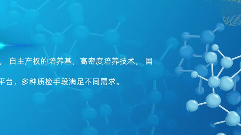 CDMO项目合作合同：关键要点与风险防范