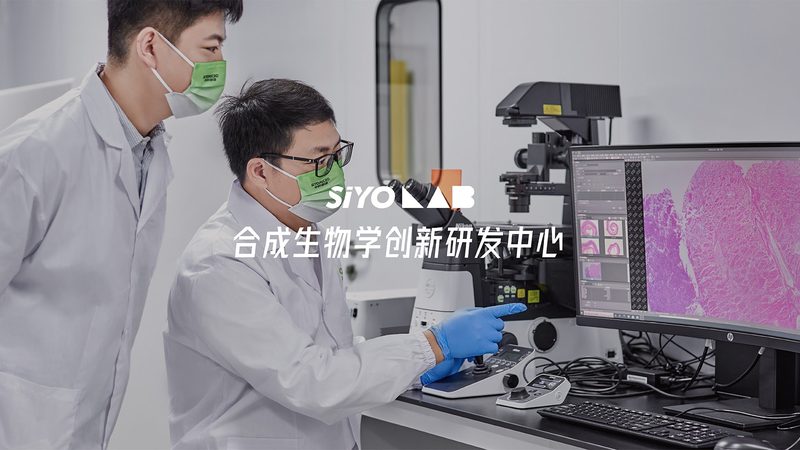 PCR检测在医院中的关键流程步骤解析