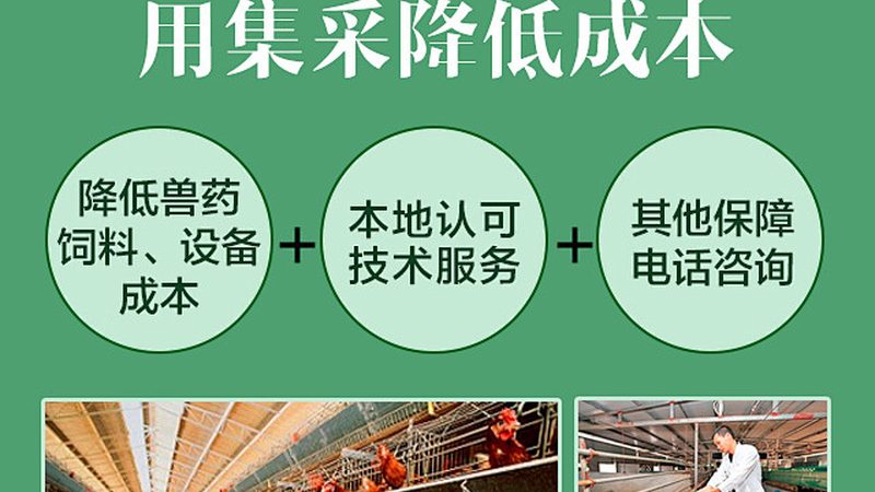 细胞工厂安装，这些关键点你了解吗？**