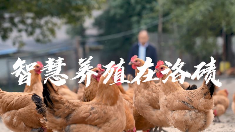 揭秘北京生物医药公司排名前十的评选标准与趋势