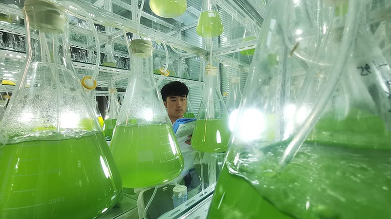 无创产前基因检测：费用构成与合理预期**